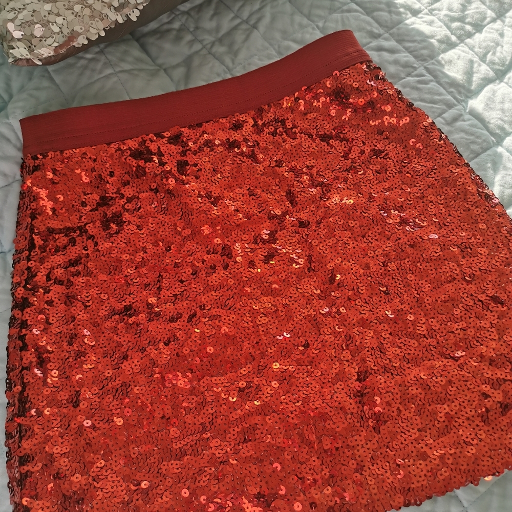BNWOT Sequin Mini skirt